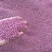 梨花粉黄梨花粉酥梨花粉品质好价格实惠