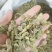 【槐角】实物拍摄新货颜色好看