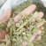 【槐角】实物拍摄新货颜色好看