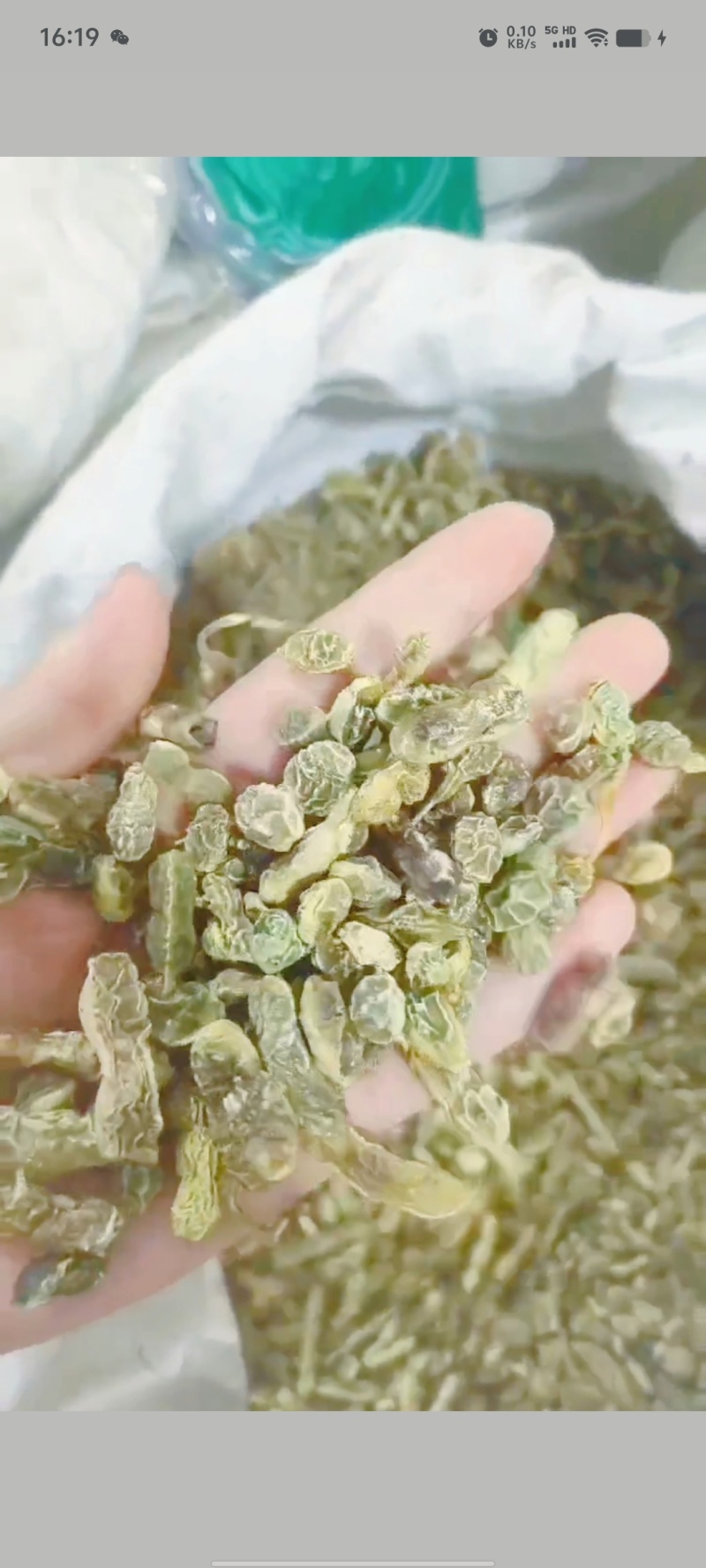【槐角】实物拍摄新货颜色好看