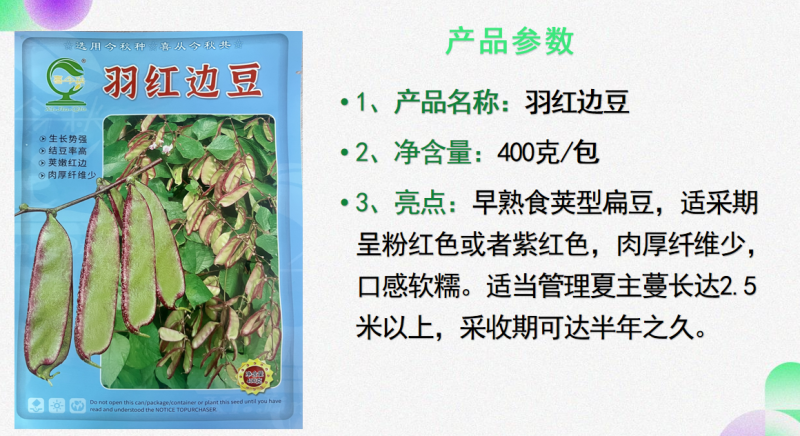 红羽边豆早熟食荚型扁豆呈紫红色肉厚纤维少口感软糯采收期长