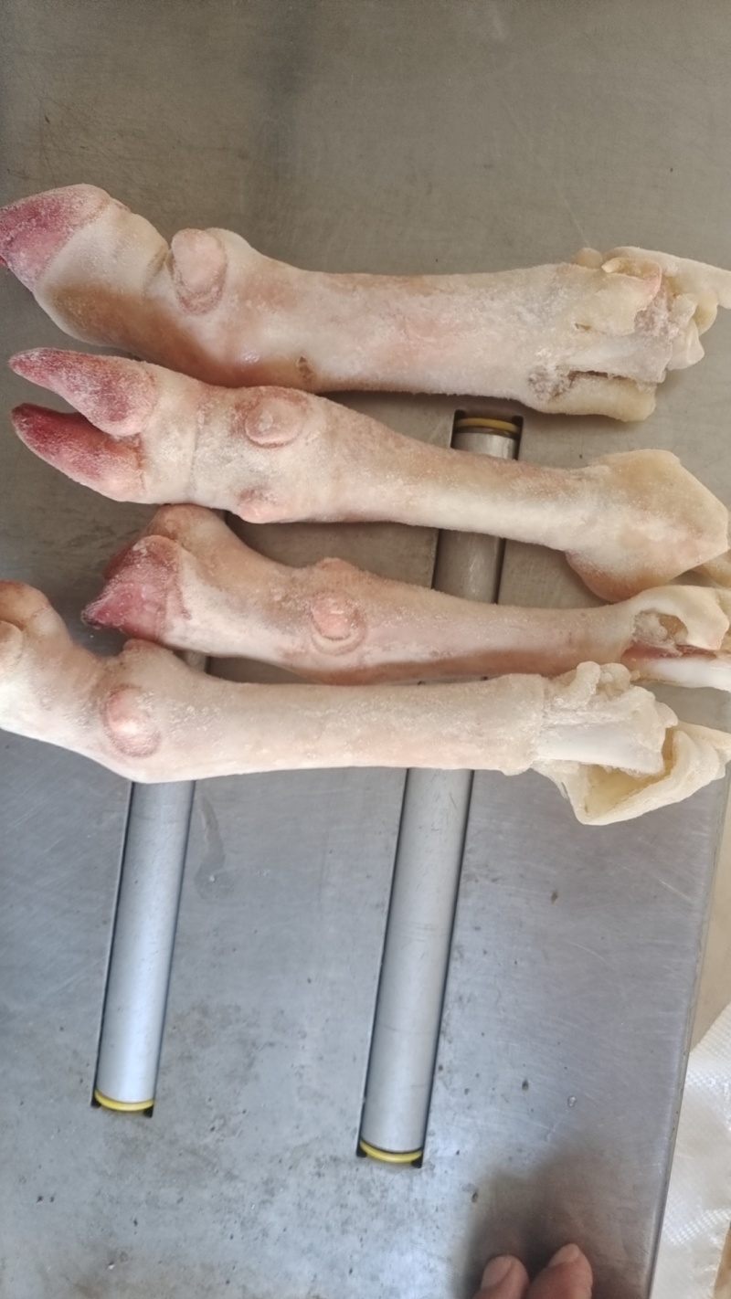 小羊蹄子规格齐全质量上乘量大价优饭店必备