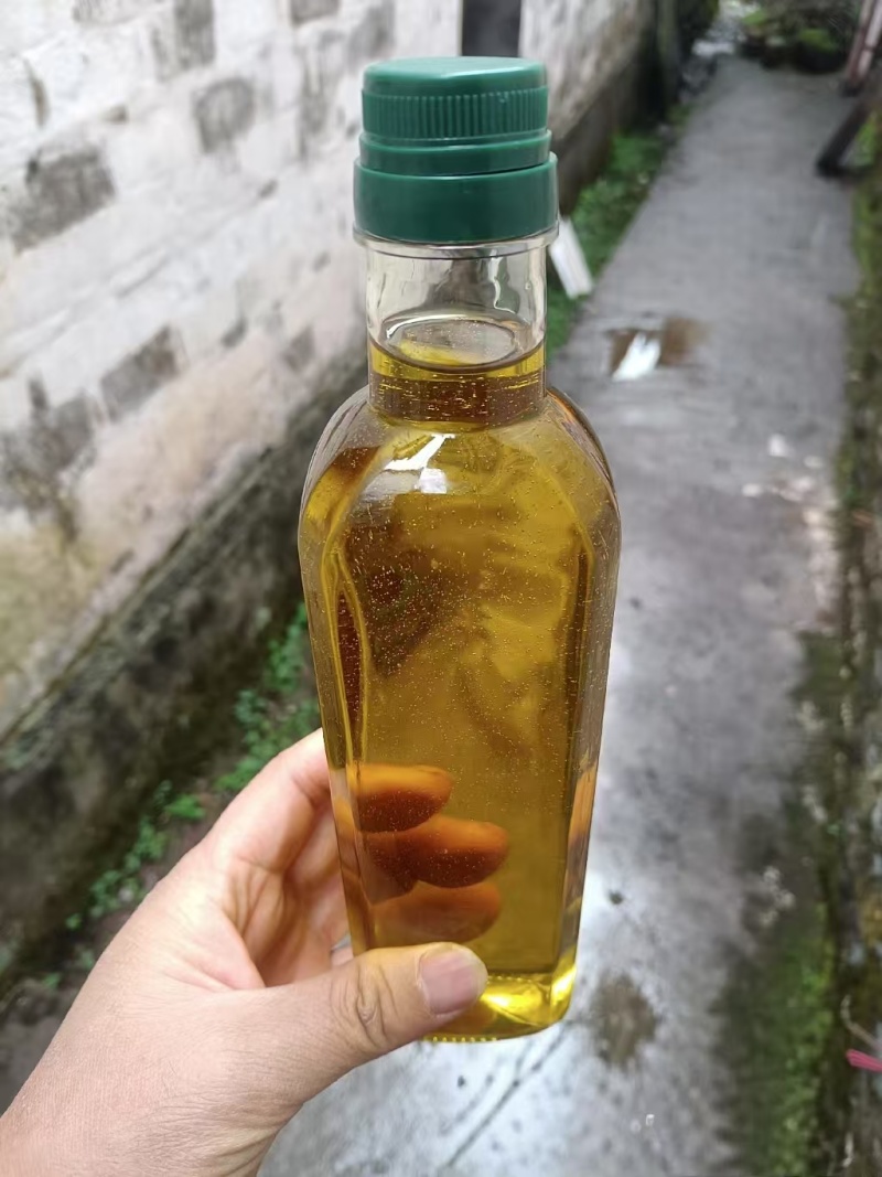 【优选】山茶油产地直发货源充足保质保量