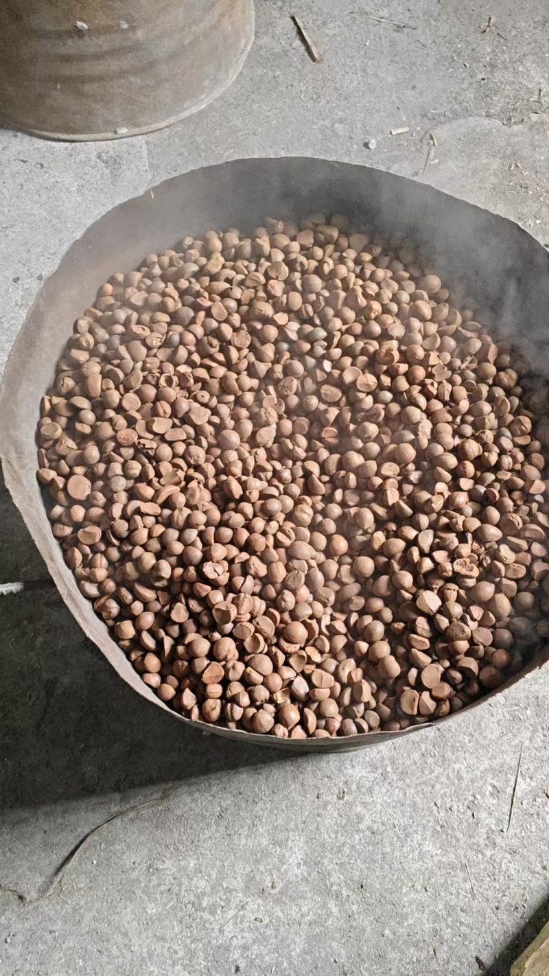 【优选】山茶油产地直发货源充足保质保量