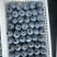 山东L25花香蓝莓质量保证量大从优对接全国诚信经营