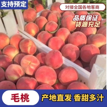 红不软水蜜桃红毛桃沙芽红红桃大量上市有需要可以联系