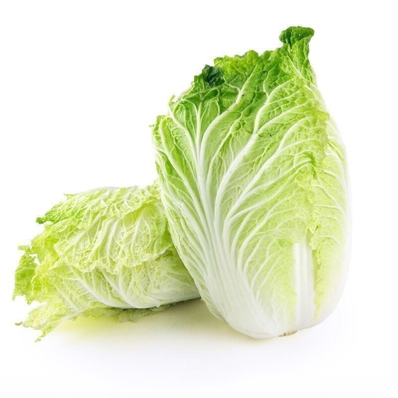 山东精品黄心大白菜无烧边无烂心大量供应