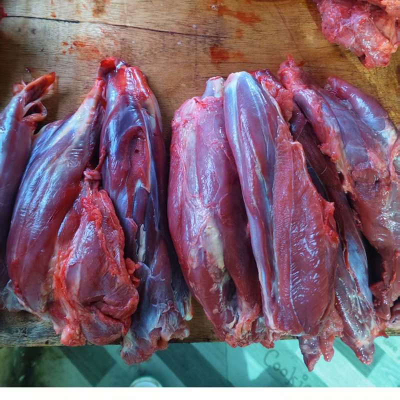 牛肉黄牛肉正宗放养牛肉品质保证量大从优欢迎咨询
