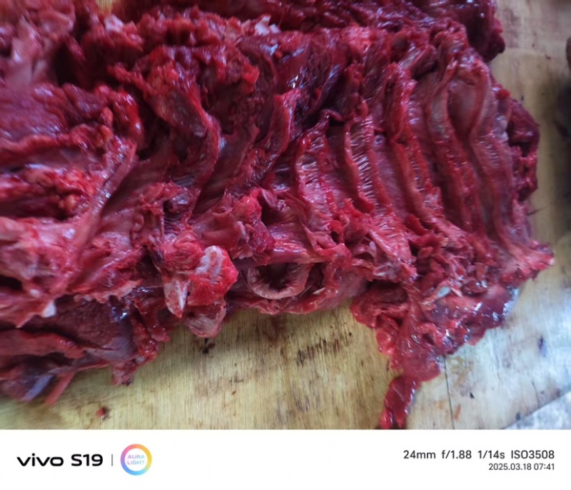 牛肉黄牛肉正宗放养牛肉品质保证量大从优欢迎咨询