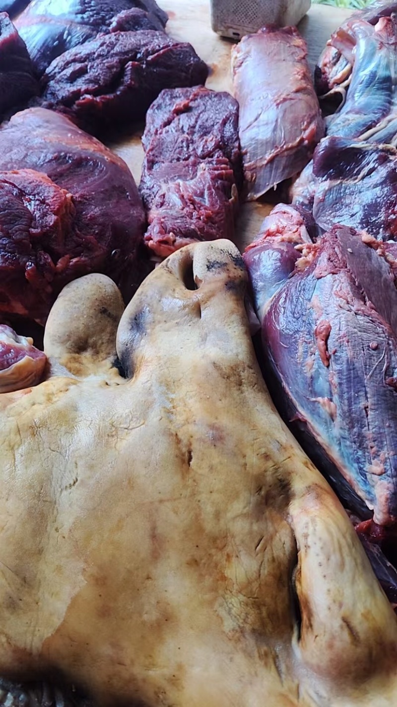 牛肉黄牛肉正宗放养牛肉品质保证量大从优欢迎咨询