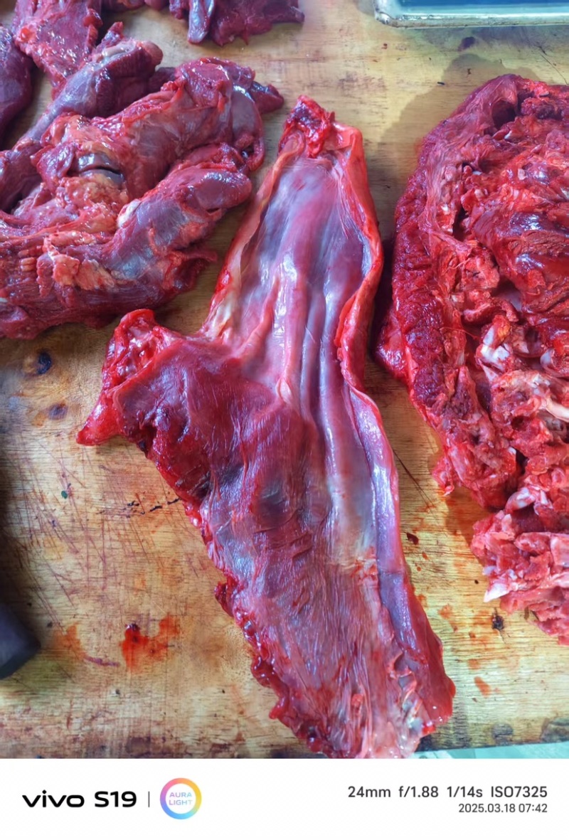 牛肉黄牛肉正宗放养牛肉品质保证量大从优欢迎咨询