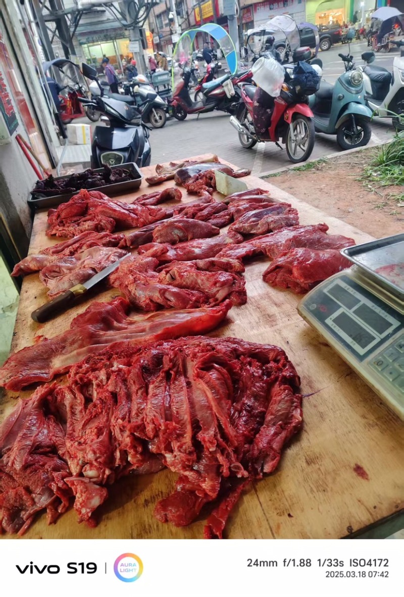 牛肉黄牛肉正宗放养牛肉品质保证量大从优欢迎咨询