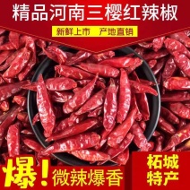 三樱椒/干辣椒/产地直发/全年有货/保质保量/欢迎采购