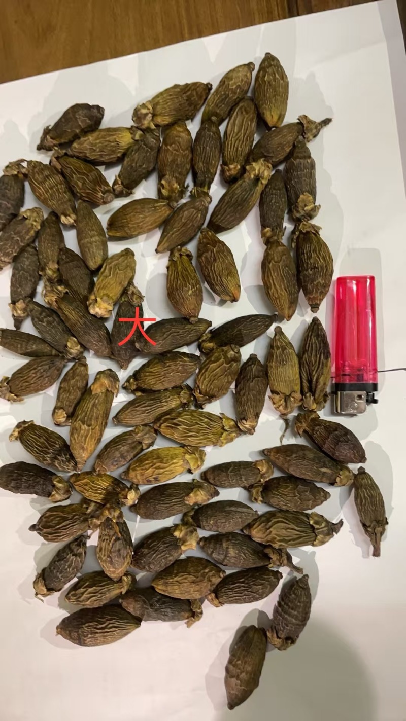 槟榔品质保证价钱可谈视频看货