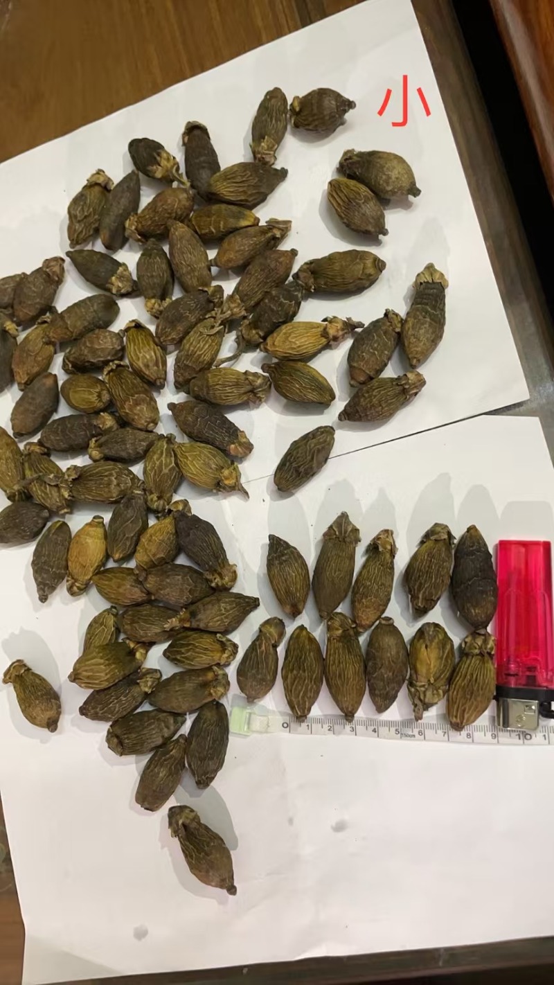 槟榔品质保证价钱可谈视频看货