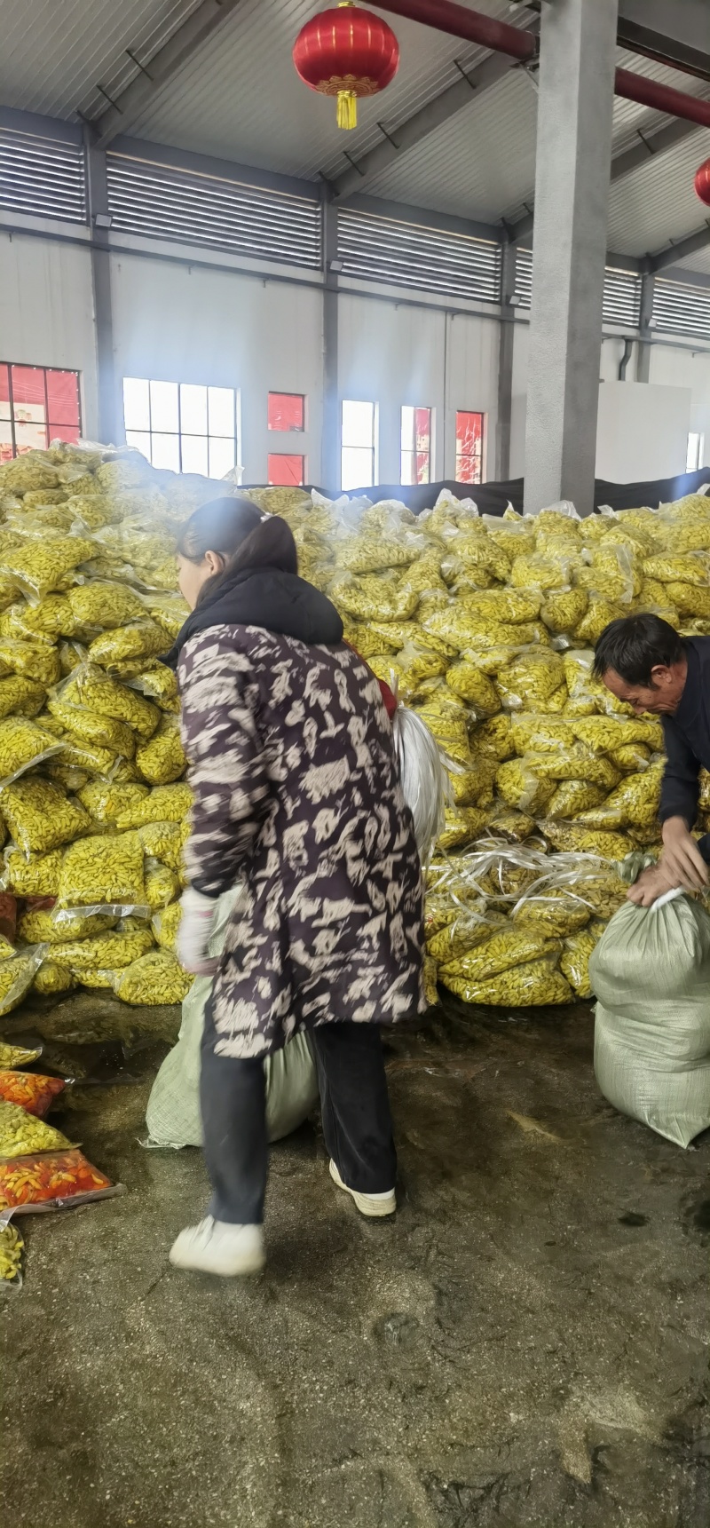 云南鲜包小米辣