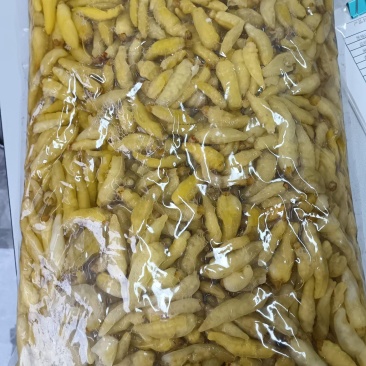 云南鲜包小米辣
