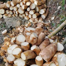 高山黄泥春笋，成都龙泉接货。