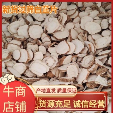 当年新货过筛白芷片干净无杂常年有货量大从优