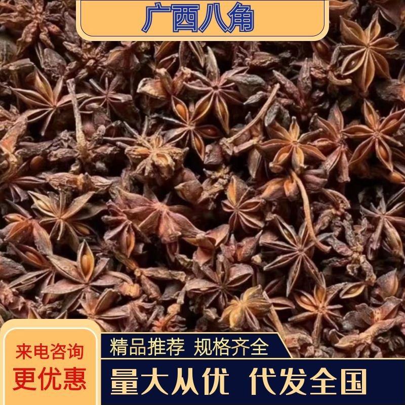 当季广西大红八角大料各种规格常年批发量大从优