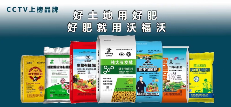菜籽饼