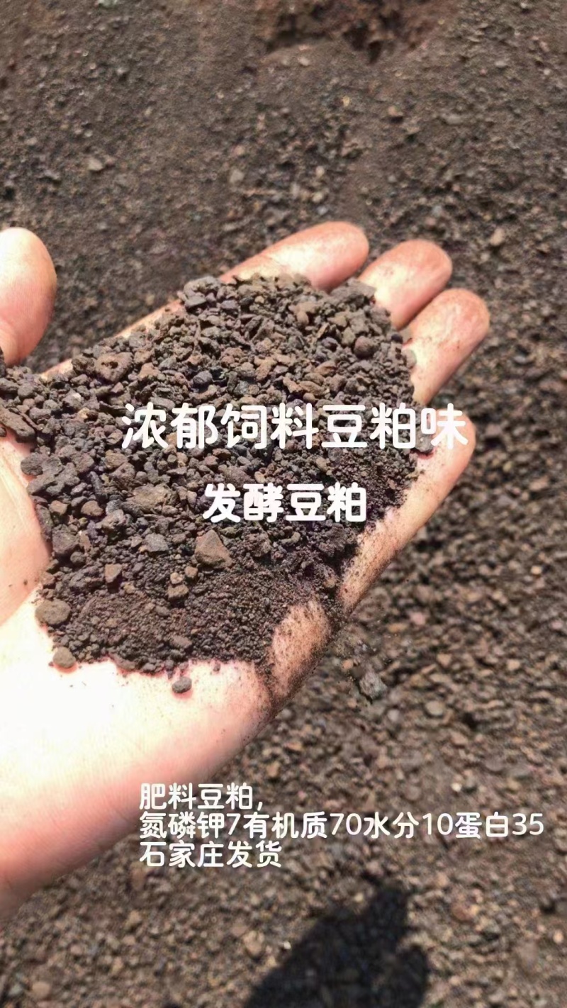 菜籽饼
