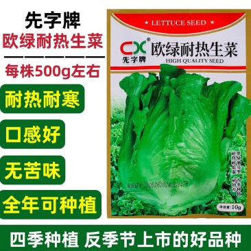 先字牌欧绿耐热生菜种子意大利耐抽苔生菜籽四季杂交蔬菜种子