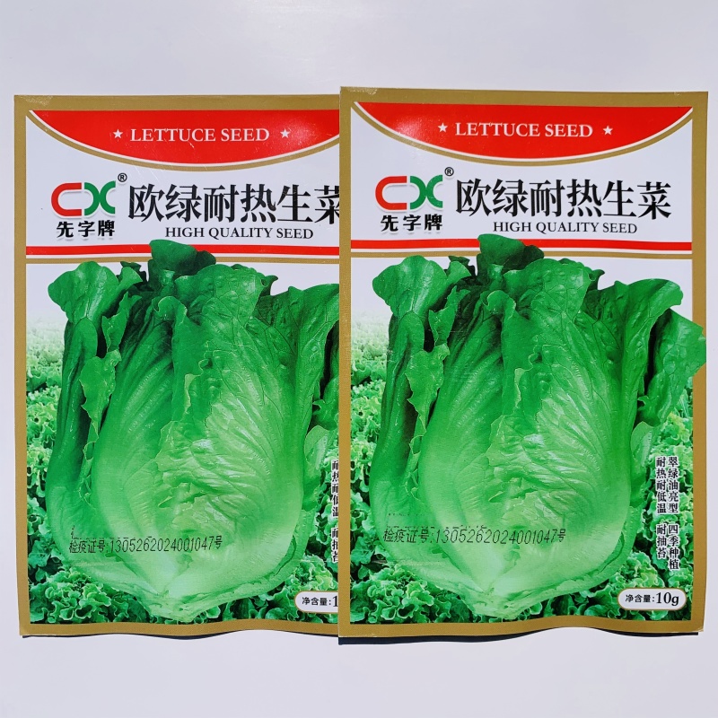 先字牌欧绿耐热生菜种子意大利耐抽苔生菜籽四季杂交蔬菜种子