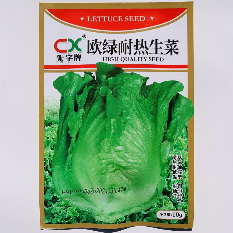 先字牌欧绿耐热生菜种子意大利耐抽苔生菜籽四季杂交蔬菜种子
