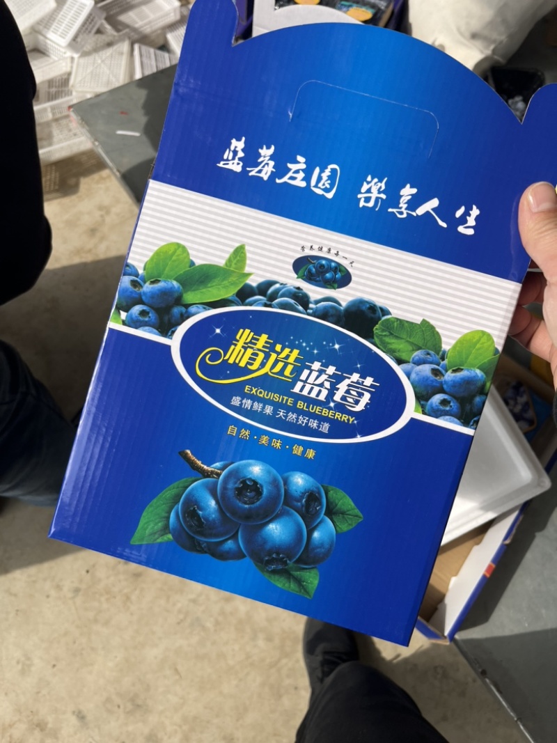 F6，蓝莓大量上市产地直发口感清甜可视频看货