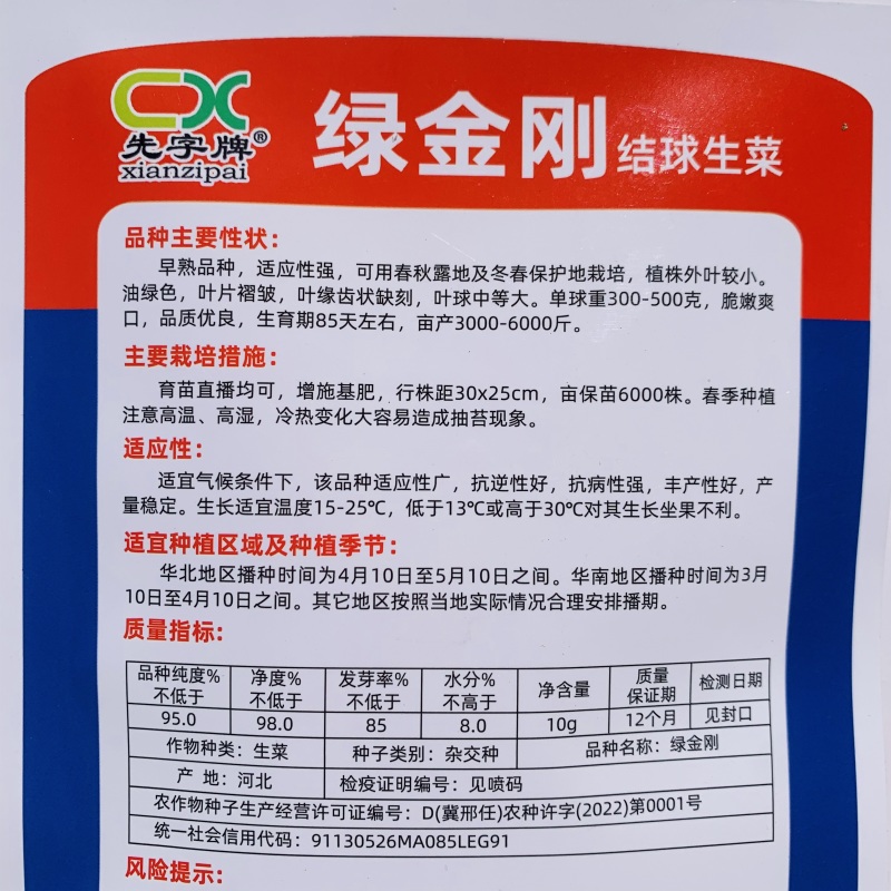 绿金刚结球生菜种子早熟耐热耐寒耐抽苔油绿包心生菜球生菜种