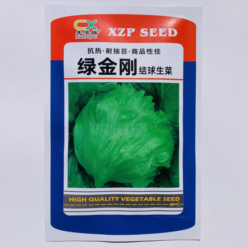 绿金刚结球生菜种子早熟耐热耐寒耐抽苔油绿包心生菜球生菜种