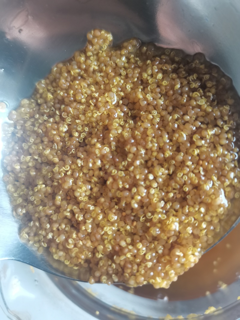 菟丝子中药材内蒙野生兔丝子批发零售泡酒泡茶
