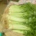 优质香芹一手货源量大从优品质保证