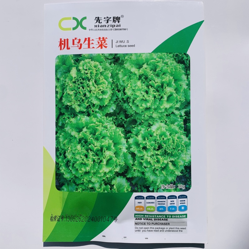 先字牌机乌生菜种子耐热耐烧心大速生菜种子春夏秋四季蔬菜种