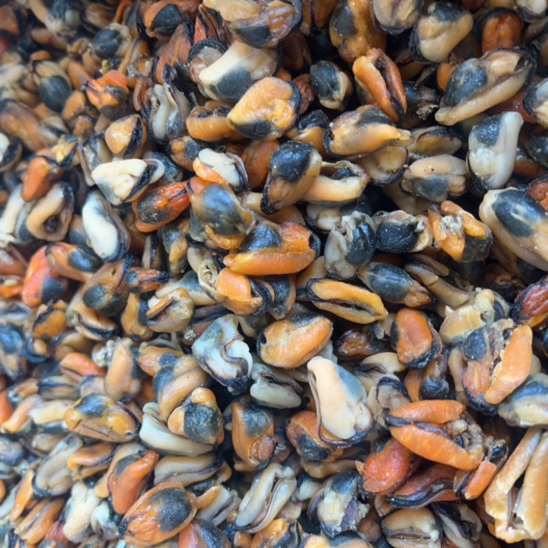 淡菜地摊电商批发淡菜干干淡菜海虹干海产品批发