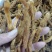 玉竹