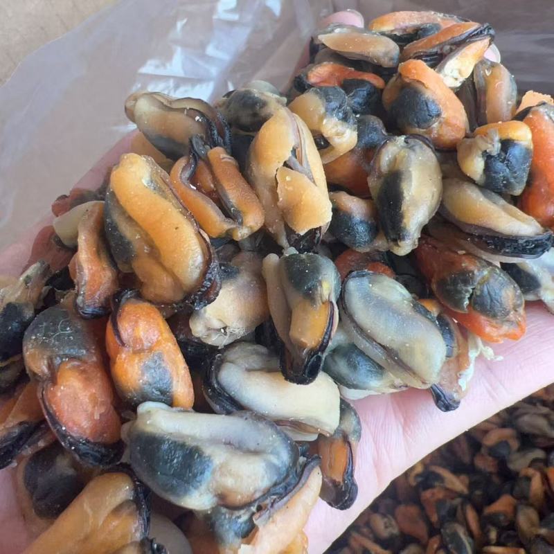 淡菜地摊电商批发淡菜干干淡菜海虹干海产品批发