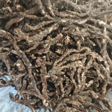 茴香菖蒲山奈五香草干货产地直供整车走货欢迎咨询