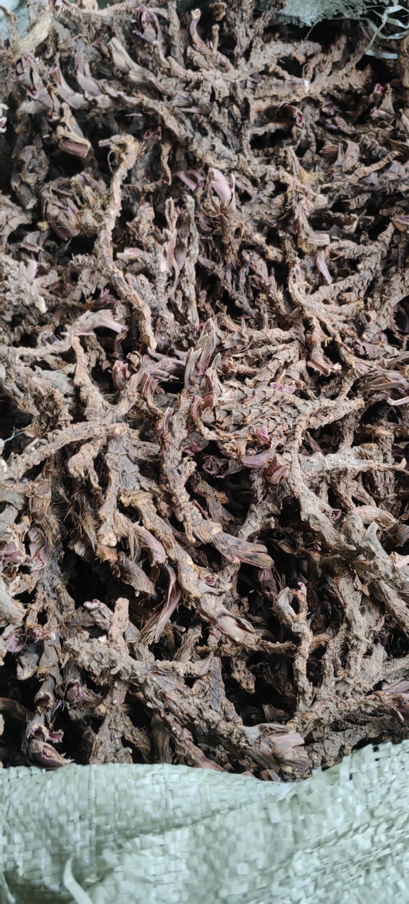 茴香菖蒲山奈五香草干货产地直供整车走货欢迎咨询