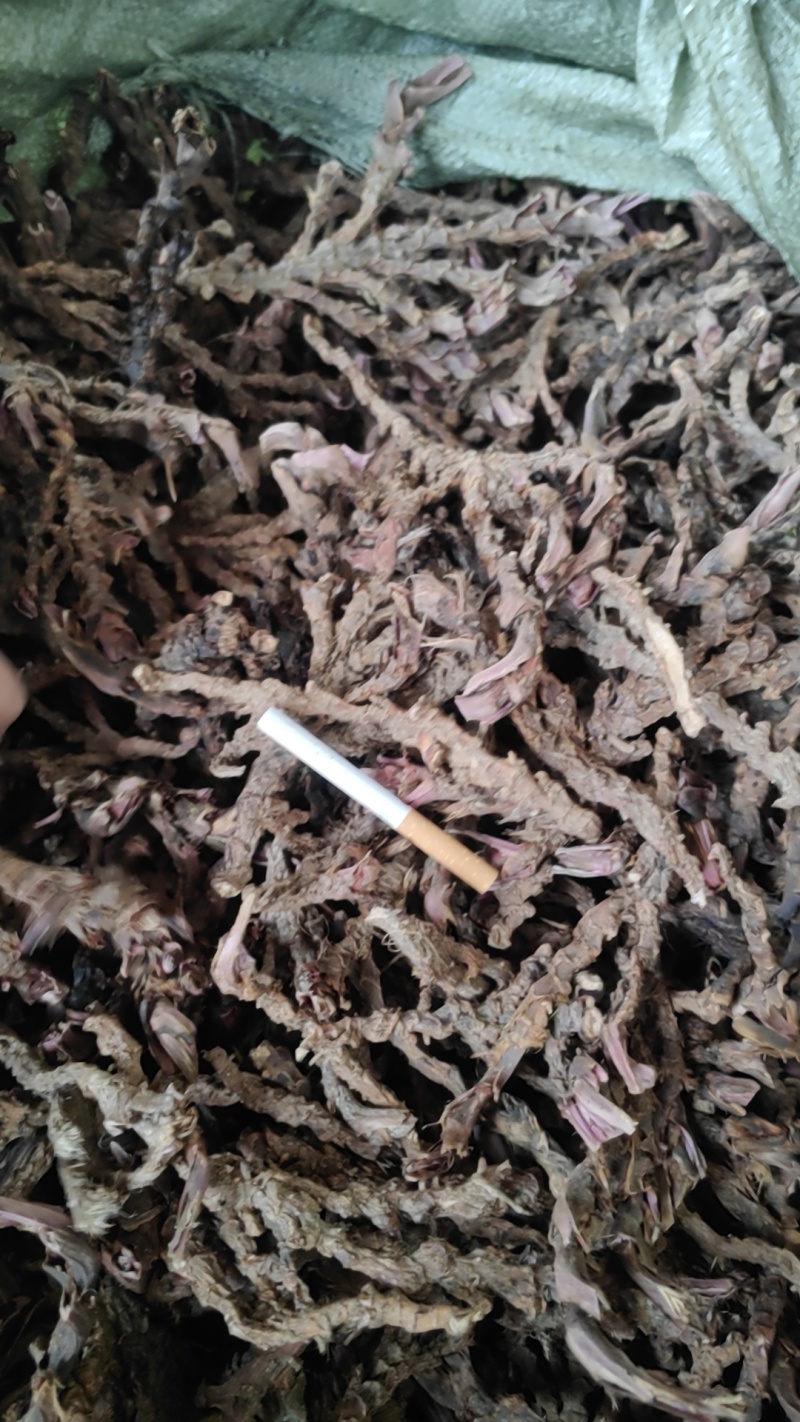 茴香菖蒲山奈五香草干货产地直供整车走货欢迎咨询