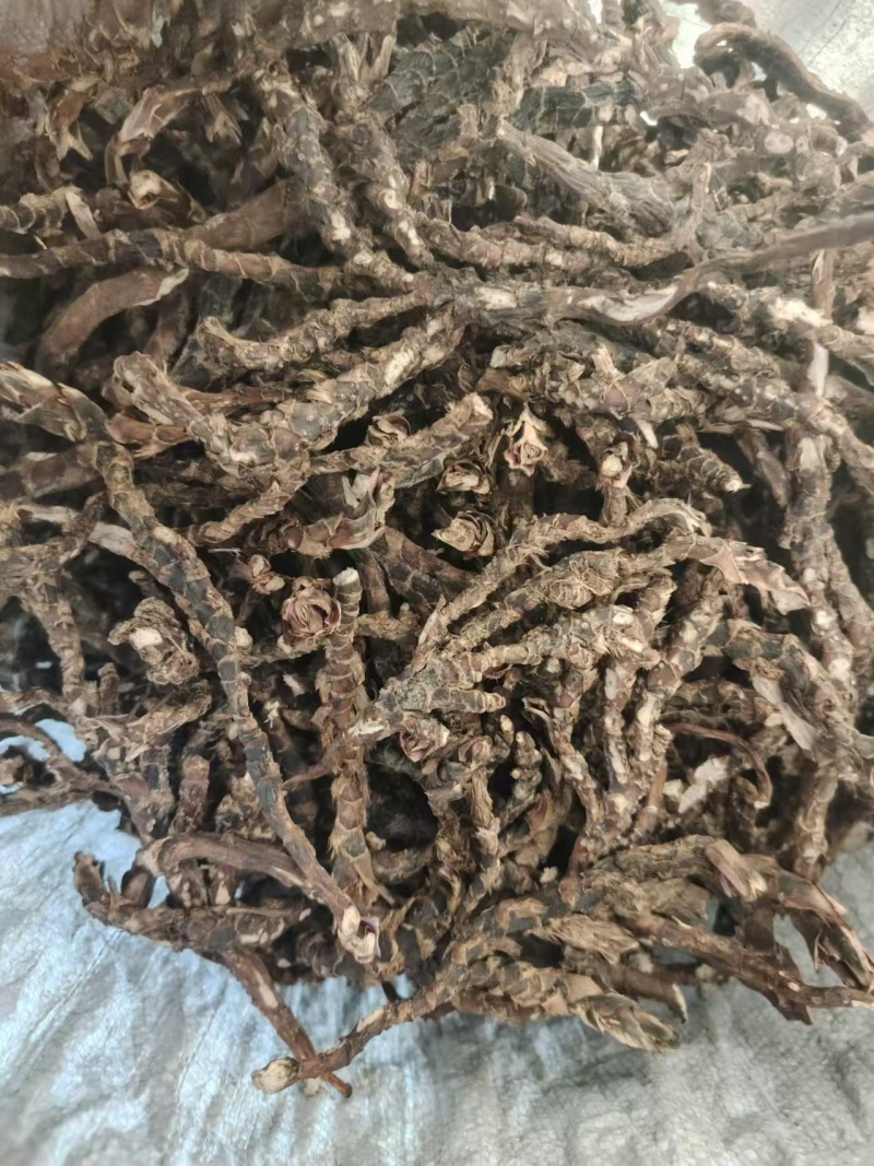 茴香菖蒲山奈五香草干货产地直供整车走货欢迎咨询