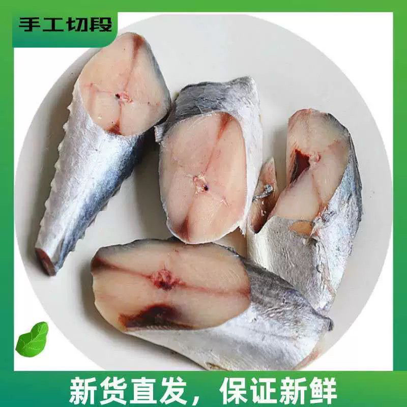 鲅鱼块马鲛鱼片新鲜马鲛鱼中段燕鲅鱼段新鲜现切鲅鱼燕鲅鱼