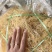 溢香园牌：100%清水龙须菜（150克）