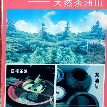山茶油