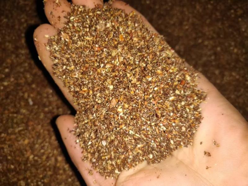 优质饲料枣粉，厂家直销，品质保证，欢迎各地老板来电洽谈