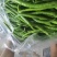 辣椒大棚辣椒
