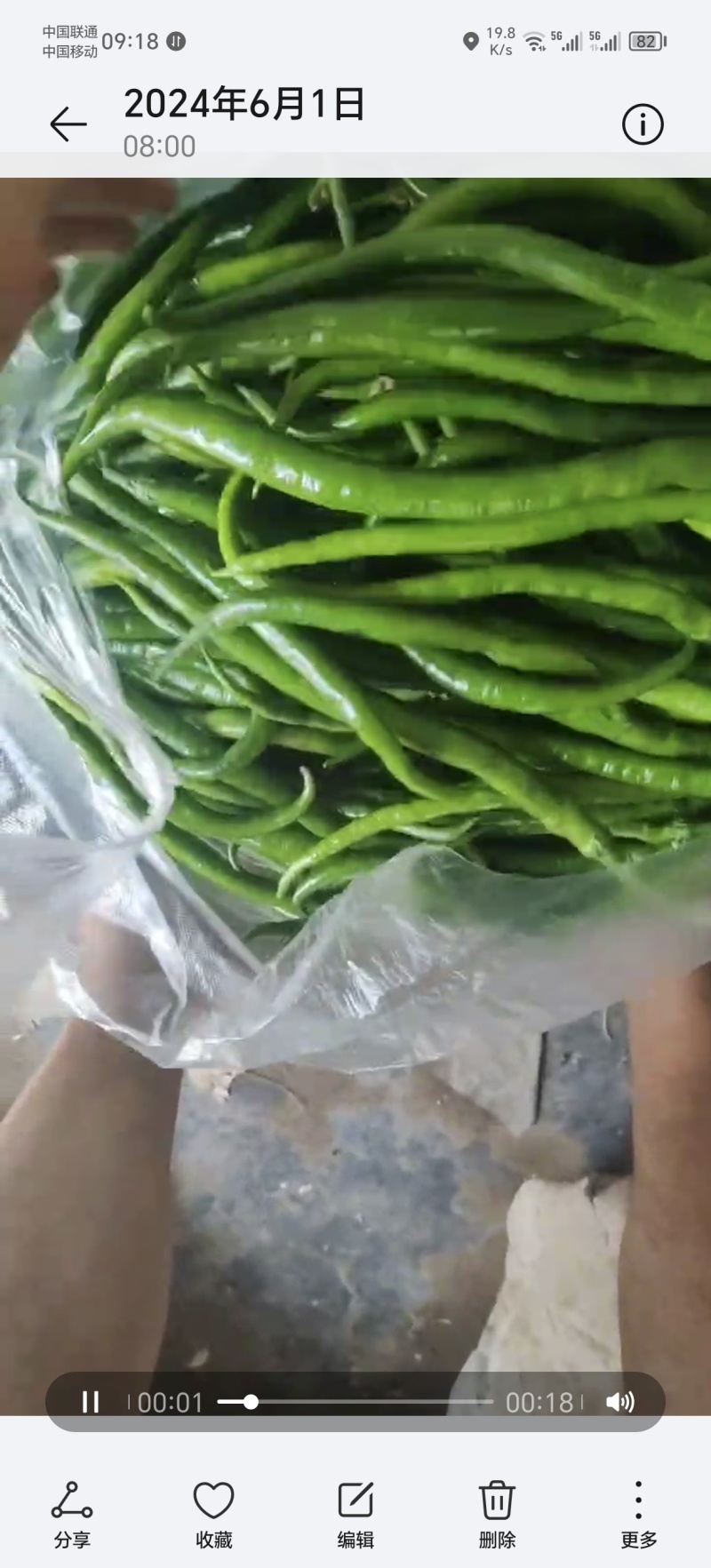 辣椒大棚辣椒