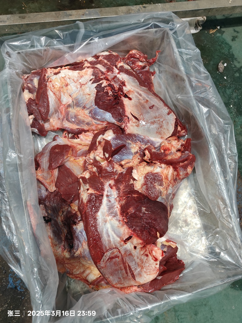 工厂用国产牛肉大块牛肉牛前牛后全牛非调理品不注水纯干货