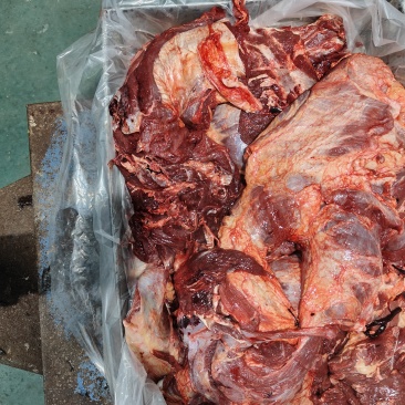 工厂用国产牛肉大块牛肉牛前牛后全牛非调理品不注水纯干货